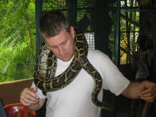 snake